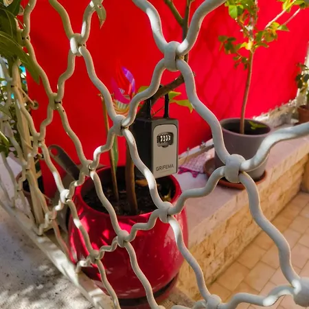 Cosy Studio, Terrace And Free Parking Next To The * מנטון
